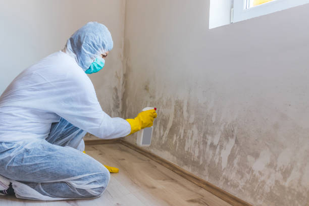 Mold inspector in Gilbert performing thermal imaging